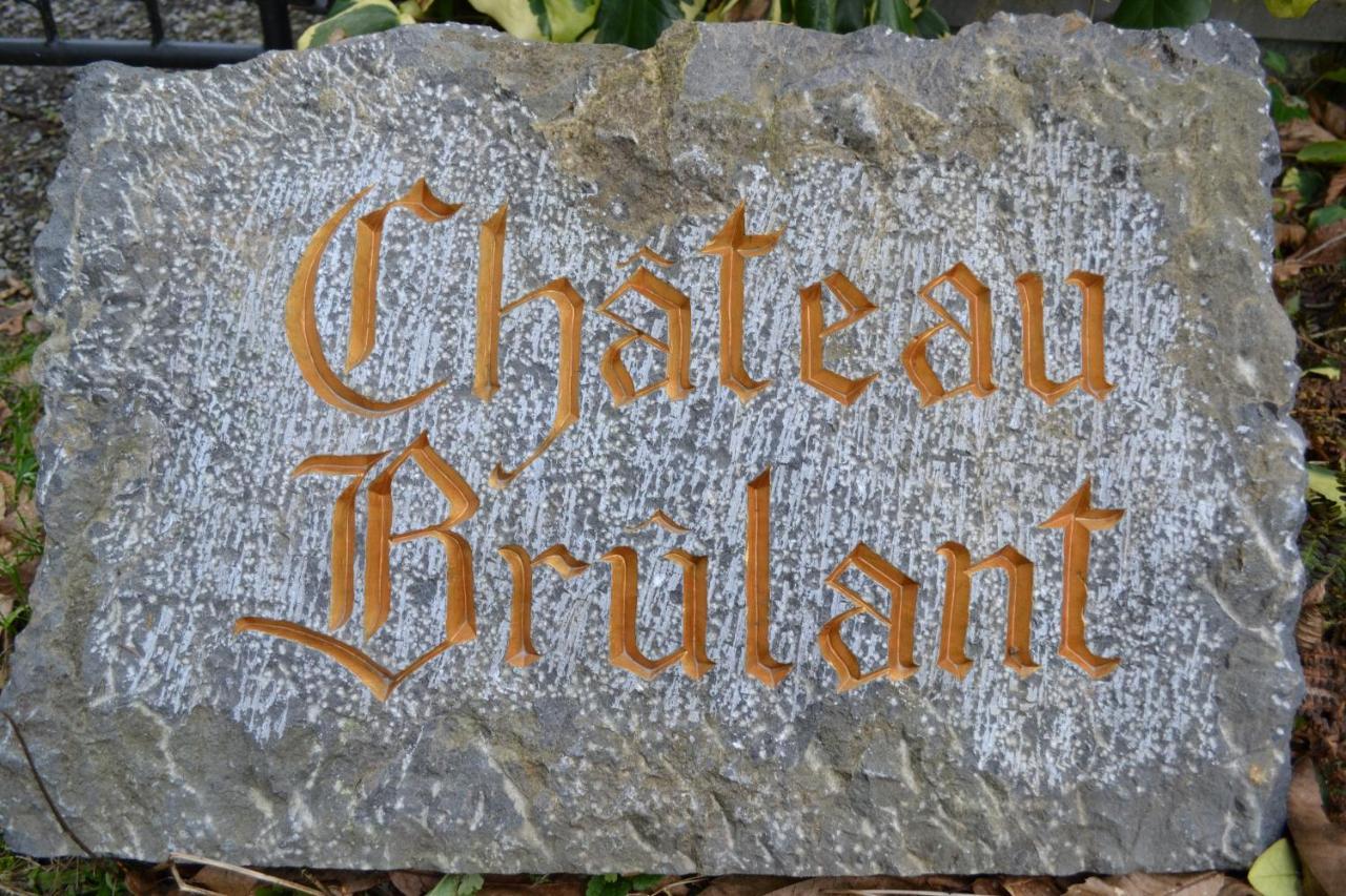 Chateau Brulant Somme-Leuze Exterior photo
